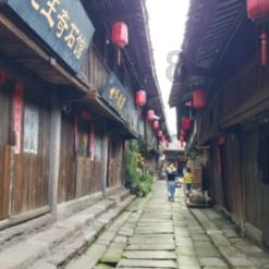 逃离沙地